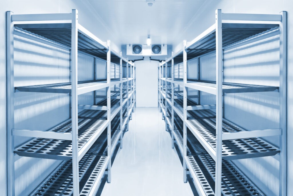 Walk-In Cold Rooms vs. Fridges: Which is Best For Me?